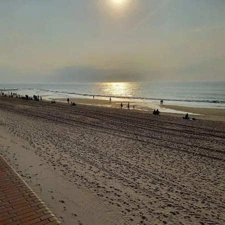 House Katharina, Apartment